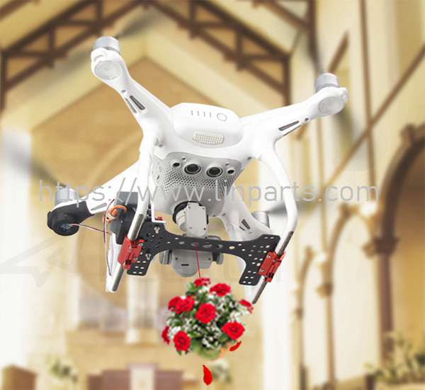 LinParts.com - DJI Phantom 4 Pro V2.0 RC Drone: Thrower