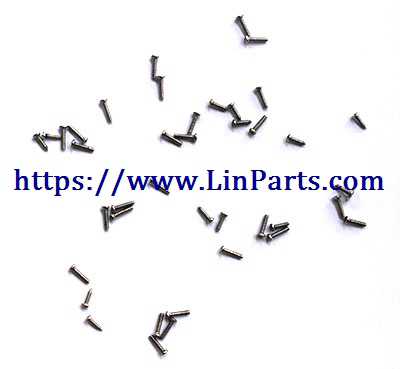 LinParts.com - Holy Stone HS200D RC Quadcopter Spare Parts: Screw package - Click Image to Close