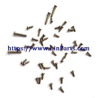 LinParts.com - LISHITOYS L6055 L6055W RC Quadcopter Spare Parts: Screw package