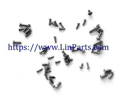 LinParts.com - Lishitoys L6060 RC Quadcopter Spare Parts: Screw package set - Click Image to Close